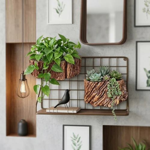 Treo & Gắn tường