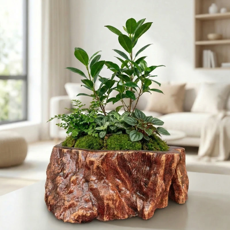 Gợi ý phối tiểu cảnh "Khu Rừng Nhiệt Đới" xanh mát cùng Chậu Zenpot