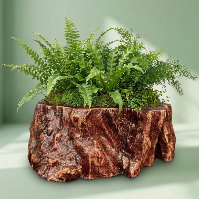 Tuyệt chiêu phối Dương xỉ xanh mát cùng Chậu Zenpot