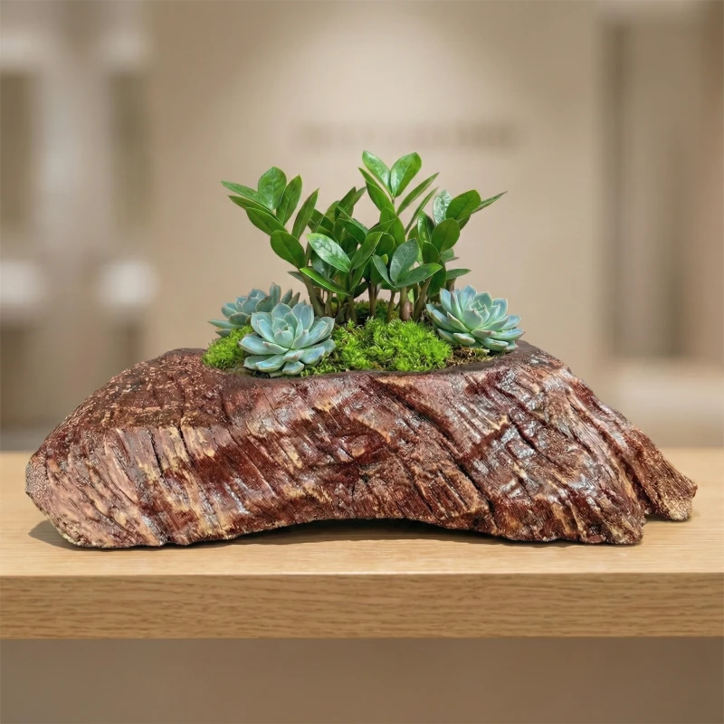 Gợi ý kết hợp: Rước tài lộc vào nhà cùng Cây Kim Tiền và Chậu Zenpot