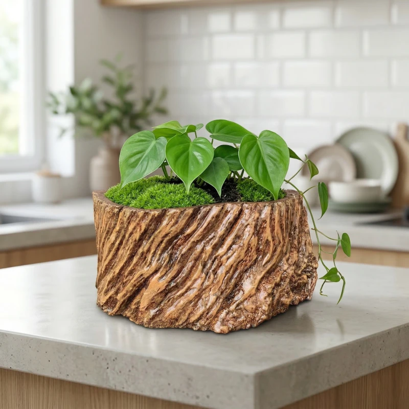 Trầu Bà Xanh & Chậu Zenpot: Sự kết hợp hoàn hảo cho không gian xanh