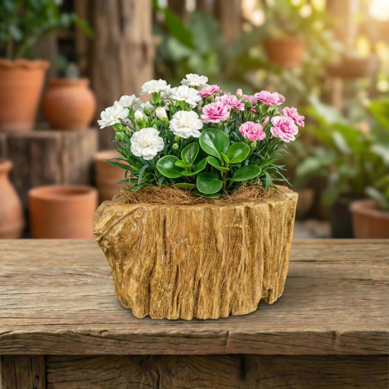 Sắc Hoa Cẩm Chướng & Năng Lượng Xanh