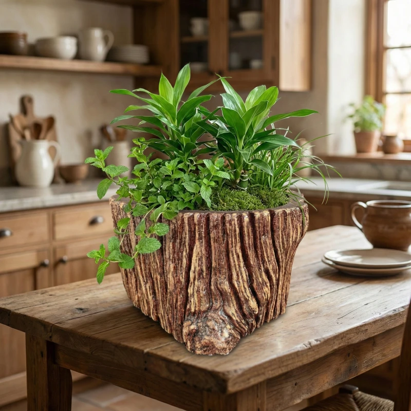 Gợi ý phối cây Phát Tài & Bạc Hà: Hút tài lộc, toả hương thơm