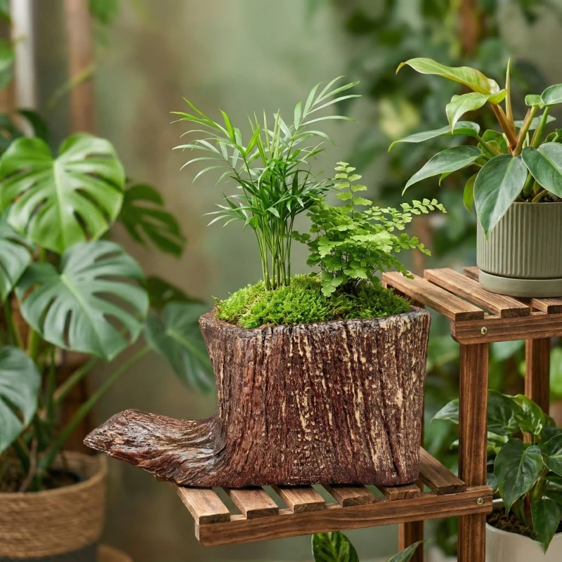 Gợi ý phối cây Cau Tiểu Trâm và Dương Xỉ cùng Chậu Zenpot