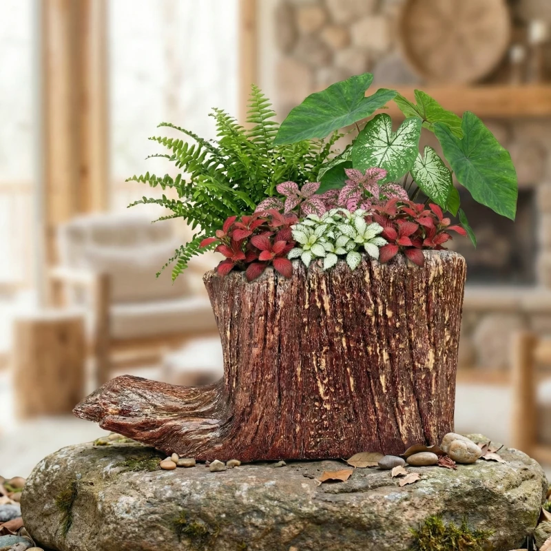 Gợi ý phối cây "xanh - tài lộc" tuyệt đẹp cho Chậu Zenpot