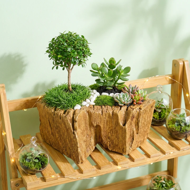 Gợi ý phối cảnh Bonsai và Ngọc Bích tài lộc cùng Chậu Zenpot