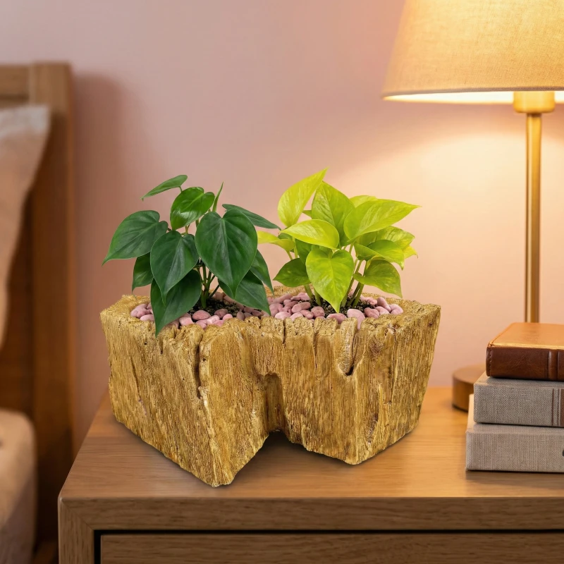 Gợi ý phối Trầu Bà Xanh & Neon cùng Chậu Zenpot