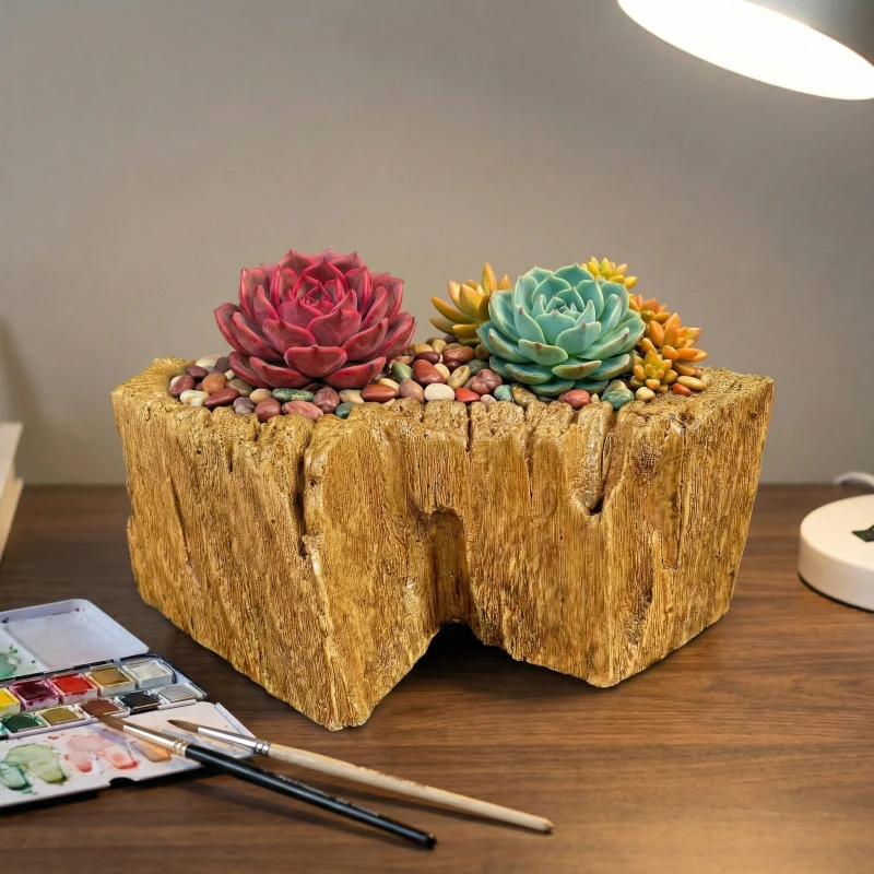 Gợi ý kết hợp Sen Đá sắc màu cùng Chậu Zenpot