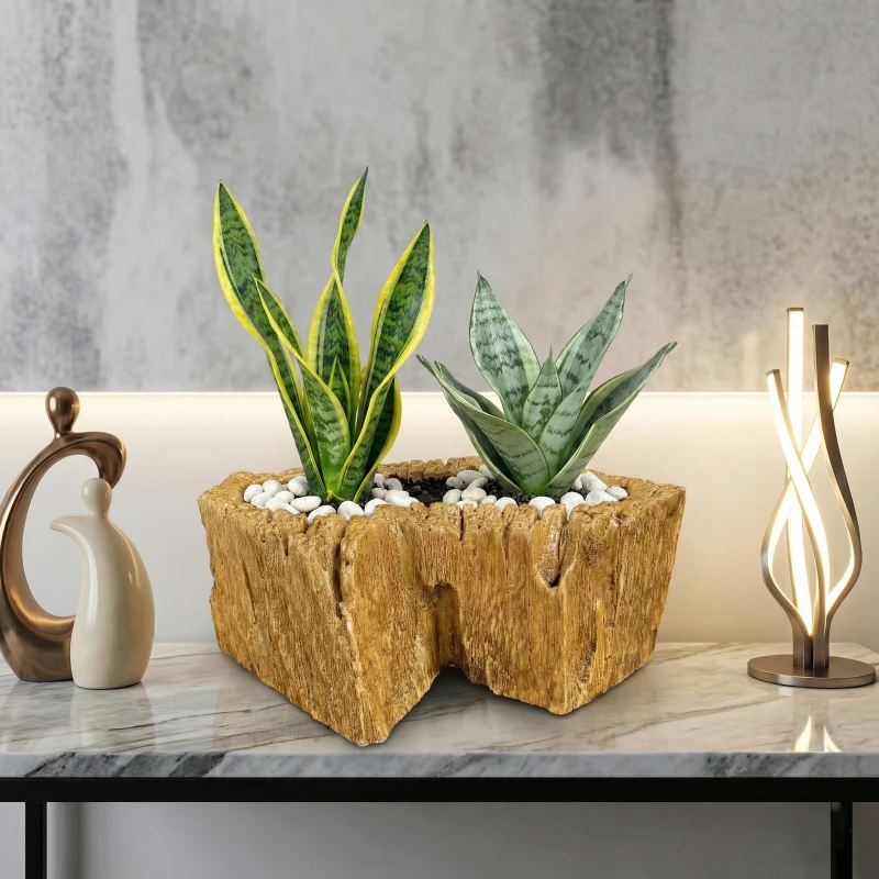 Gợi ý kết hợp hoàn hảo: Cây Lưỡi Hổ và Chậu Zenpot