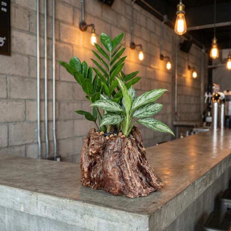 Gợi ý phối cây Kim Tiền & Ngân Hậu hút tài lộc cùng Chậu Zenpot