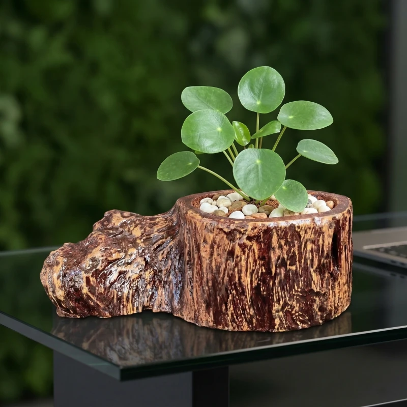 Bí quyết hút tài lộc: Tôn lên vẻ đẹp cây Cỏ Gương cùng Chậu Zenpot!